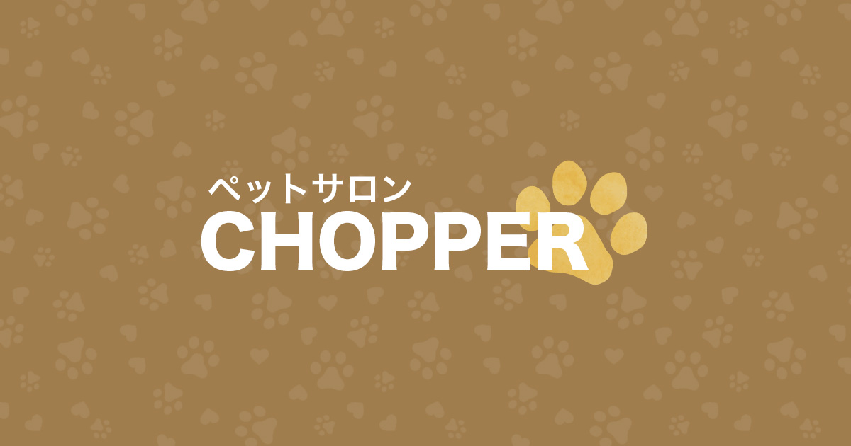 ペットサロン chopper 人気 一時預かり 料金